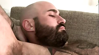 1142 bear porn videos